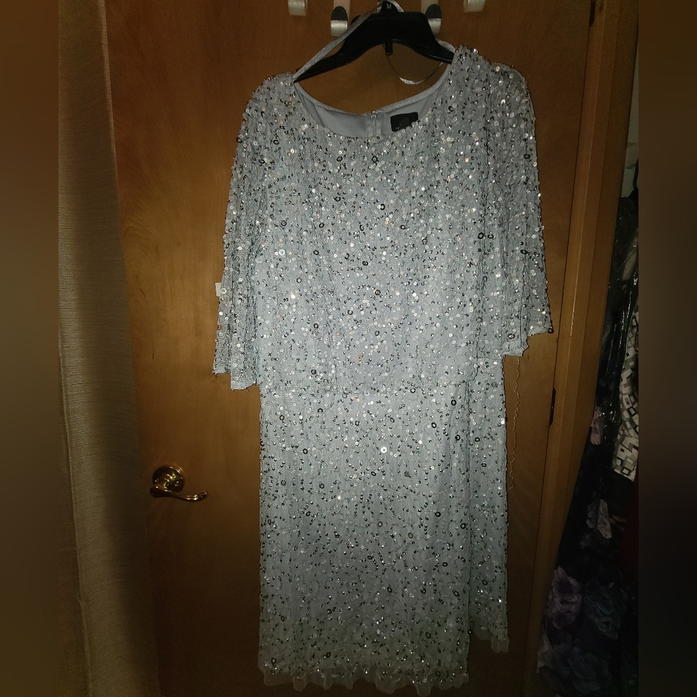 Adrianna Papell Size 22 Cocktail dress - worn once great condition